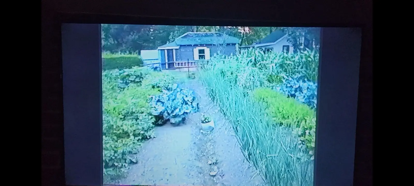 Image Screenshot_20221106-160841_Gallery.webp