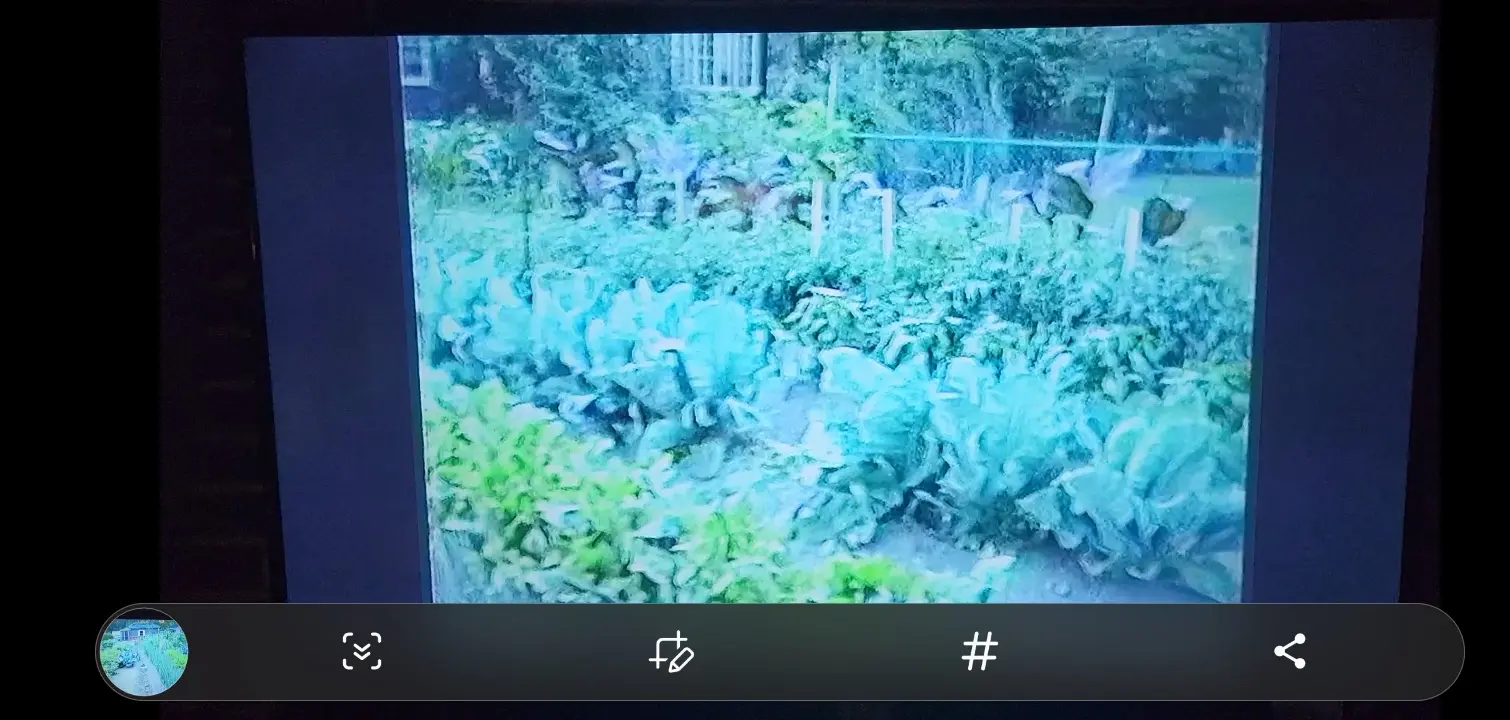 Image Screenshot_20221106-160845_Gallery.webp