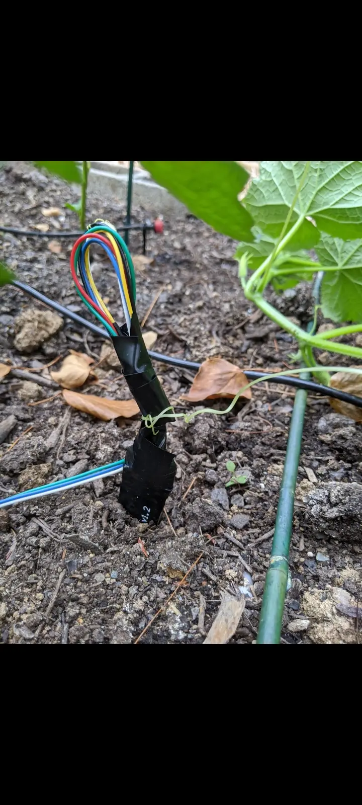 Image Screenshot_20221114-134657_Photos.webp