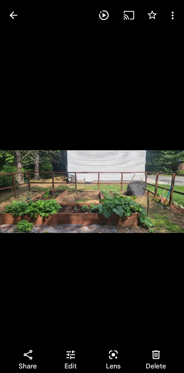 Image Screenshot_20221114-134923_Photos.webp