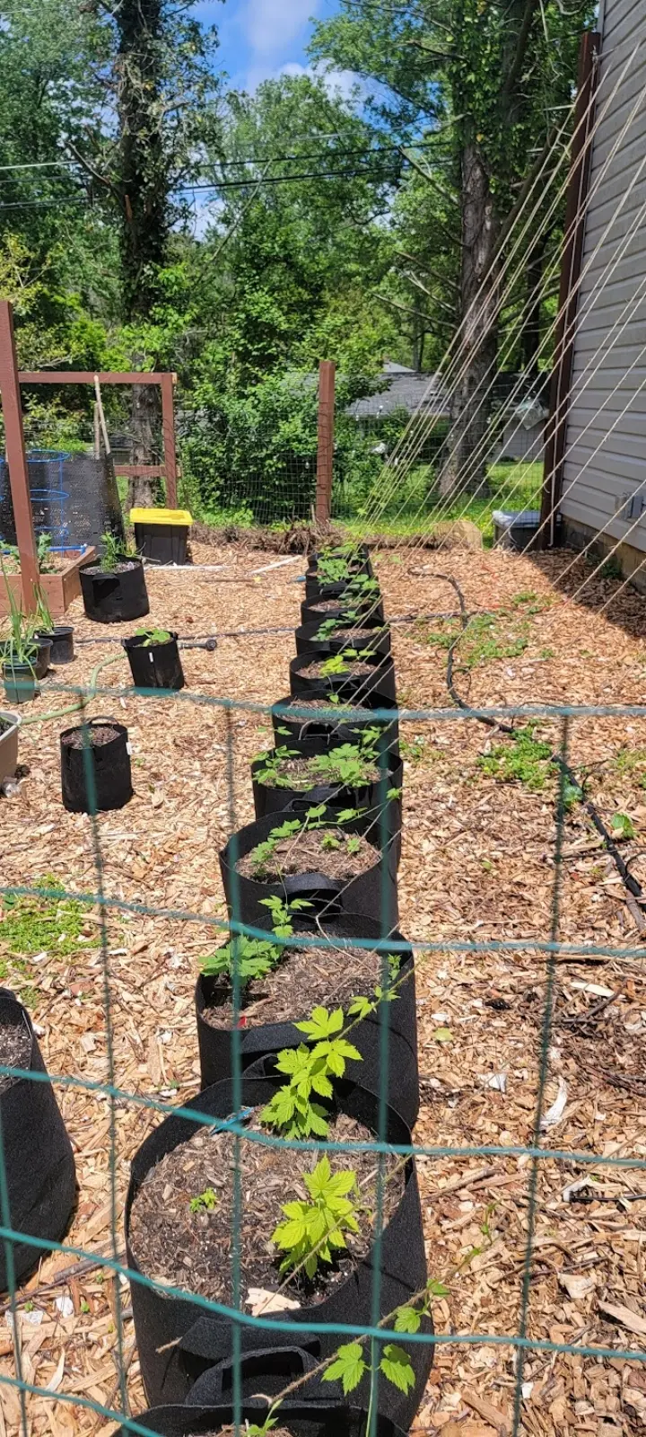 Image Screenshot_20221114-135123_Photos.webp