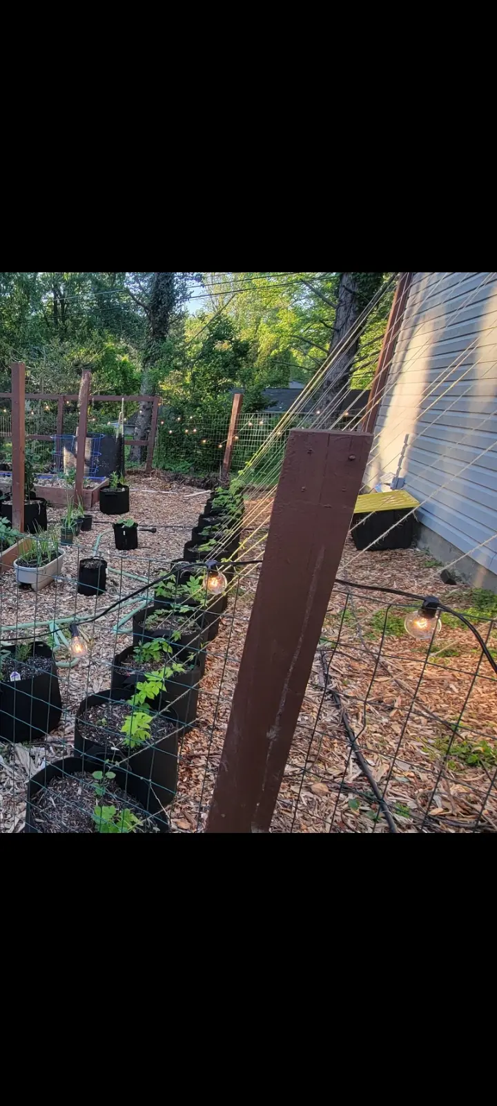 Image Screenshot_20221114-135153_Photos.webp