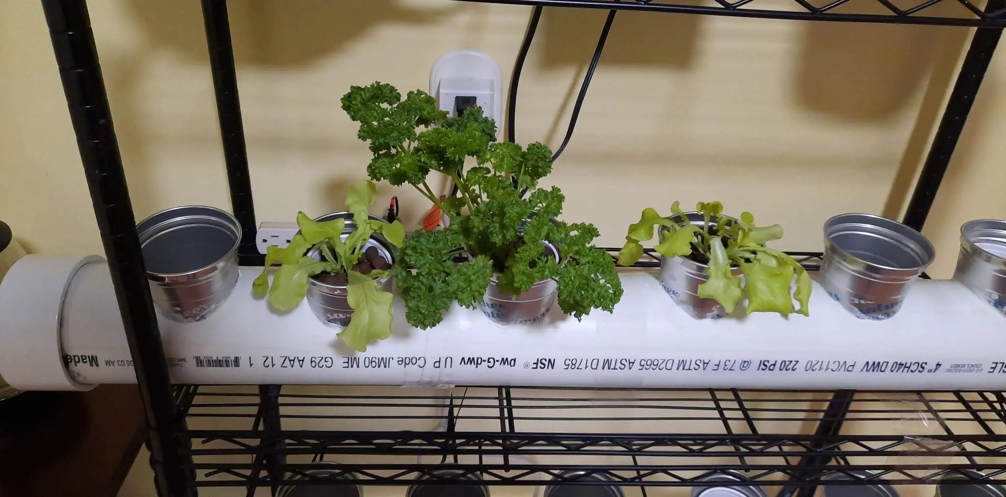 Image signal-2022-02-16-20-02-09-445.webp