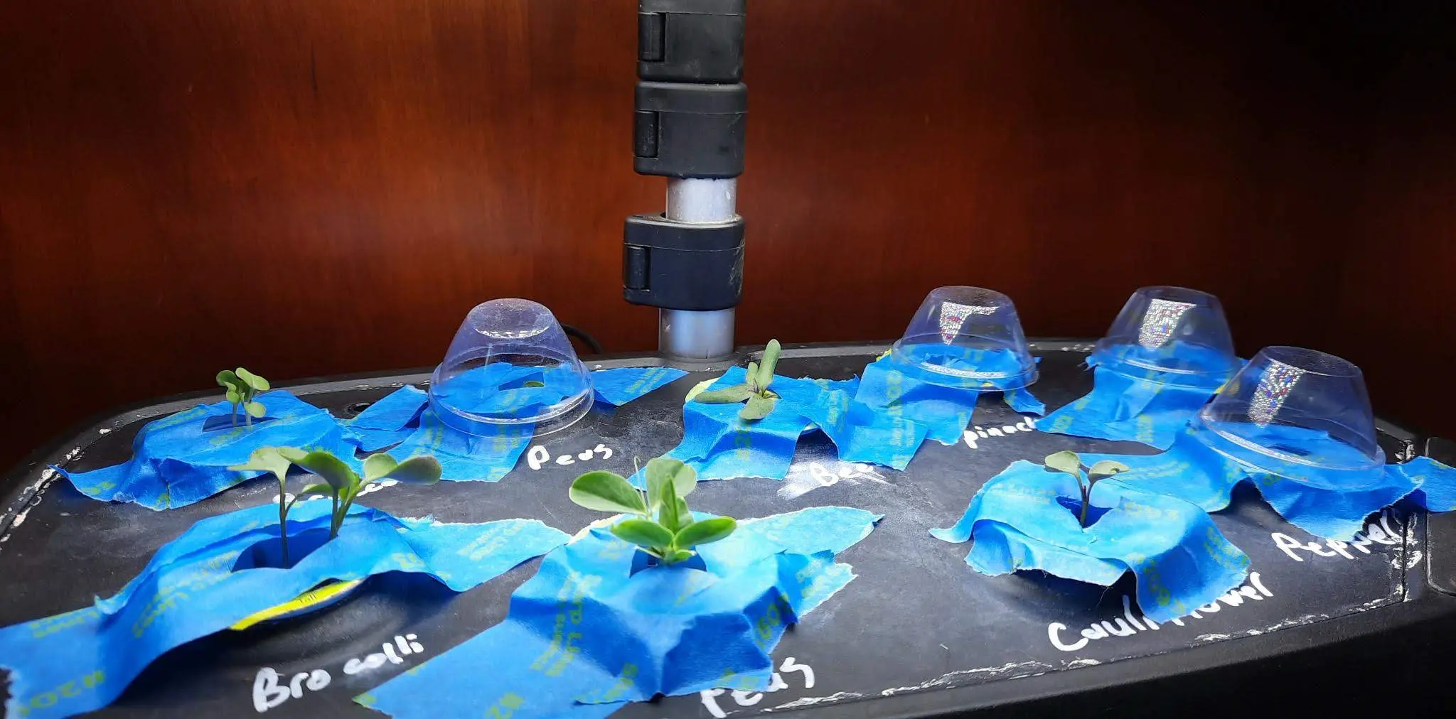 Image signal-2022-02-27-12-45-01-195.webp